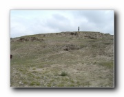 Click to enlarge this image